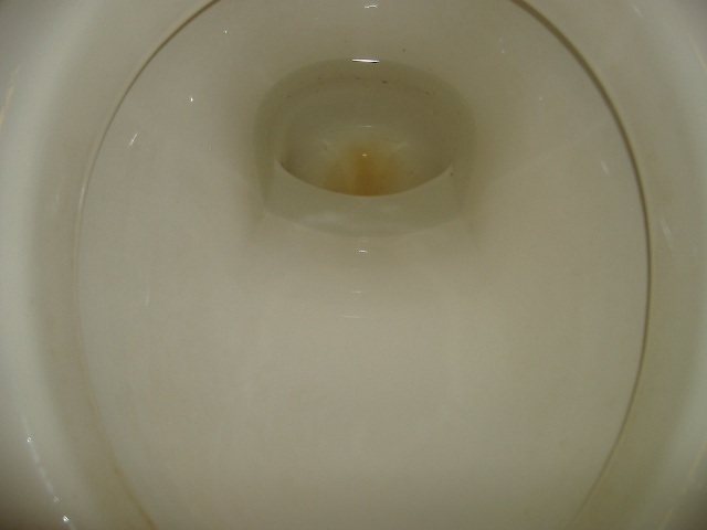 印西市　Ｆ商運様　トイレ及び配管清掃　